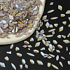 Translucent Flat Back Glass Rhinestone Cabochons MRMJ-T063-367-6