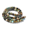Natural African Turquoise(Jasper) Beads Strands G-L651-D02-6x6mm-3