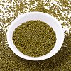 MIYUKI Delica Beads SEED-X0054-DB2141-2
