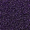 MIYUKI Round Rocailles Beads SEED-X0054-RR0308-3