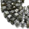 Natural Labradorite Beads Strands G-L642-H05-01-4
