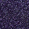 MIYUKI Delica Beads X-SEED-J020-DB1756-3