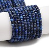 Dyed Natural Lapis Lazuli Beads Strands G-K376-B05-01-1