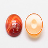 Oval Natural Carnelian Cabochons X-G-K020-18x13mm-05-1