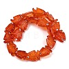 Transparent Glass Enamel Beads LAMP-U004-06Q-2