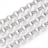 Iron Rolo Chains CH-S125-011A-P-2