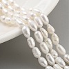 Natural Cultured Freshwater Pearl Beads Strands PEAR-P062-06F-2