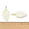 Natural Freshwater Shell Carved Pendants PALLOY-JF05384-4
