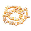 Natural Trochid Shell/Trochus Shell Beads Strands SHEL-S258-082-B11-2