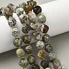 Natural Green Opal Beads Strands G-U023-A14-01-1