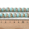 Baking Paint Glass Beads Strands DGLA-N008-10mm-05-5