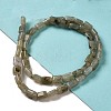 Natural Labradorite Beads Strands G-G085-A25-01-2