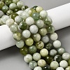 Natural New Jade Beads Strands G-K340-A01-12mm-1