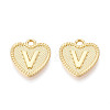 Alloy Pendants PALLOY-N157-001V-NR-1