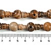 Natural Picture Jasper 3-Hole Guru Beads Strands G-H064-E06-01-5