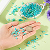 50g Glass Seed Beads SEED-TA0001-67C-6