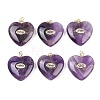 Natural Amethyst Pendants G-Z134-04E-1