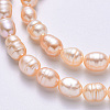 Natural Cultured Freshwater Pearl Beads Strands PEAR-N012-07G-4