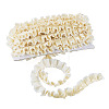 10Yards Polyester Lace Ribbon OCOR-TA0004-26A-3