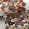 Natural Botswana Agate Beads Strands G-P604-A06-01-1