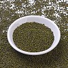 MIYUKI Round Rocailles Beads SEED-JP0008-RR4519-2