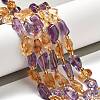 Natural Citrine & Amethyst Beads Strands G-H074-C01-01-2