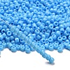 TOHO 6/0 Round Beads SEED-XTR06-0043-2