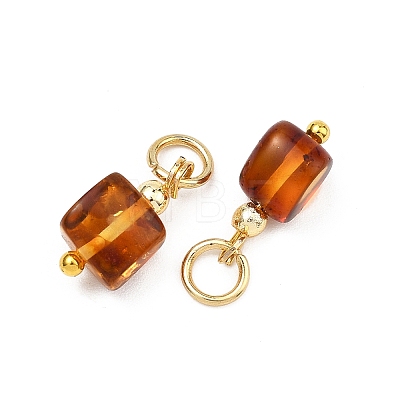 Natural Amber Pendants PALLOY-JF05273-1