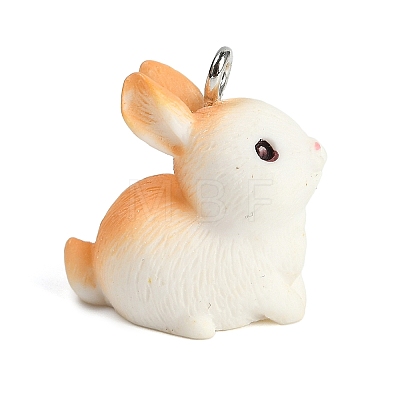 Cute Opaque Resin Pendants LS-RESI-R458-05F-1