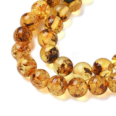 Natural Amber Beads Strands G-K387-D02-01-1