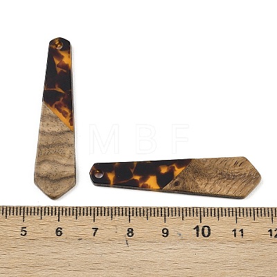Transparwnt Resin & Walnut Wood Pendants RESI-I354-03F-1
