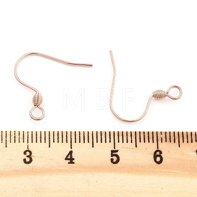 304 Stainless Steel Earring Hooks STAS-E484-55RG-1