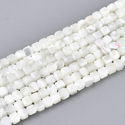 Natural Trochid Shell/Trochus Shell Beads Strands SSHEL-N041-04A-01-1