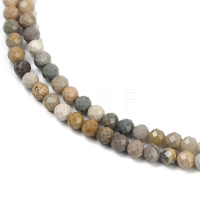 Natural Alashan Agate Beads Strands G-C181-B05-02-1