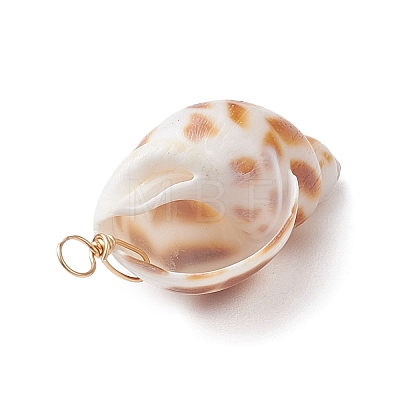Natural Spiral Shell Pendants PALLOY-JF02949-1