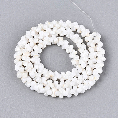 Natural Freshwater Shell Beads Strands SHEL-N038-29B-1