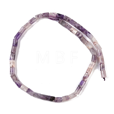 Natural Amethyst Beads Strands G-C128-A02-01-1