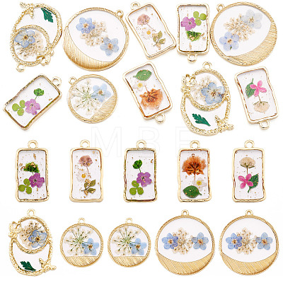 10Pcs 2 Styles Transparent Resin Pendants RESI-TA0005-61-1