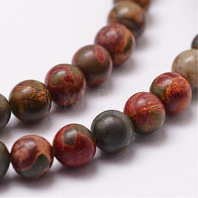 Natural Polychrome Jasper/Picasso Stone/Picasso Jasper Bead Strands G-D840-85-12mm-1