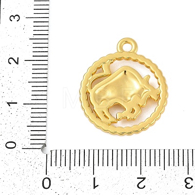 Twelve Constellations Alloy Pendants PALLOY-Q006-01I-G-1