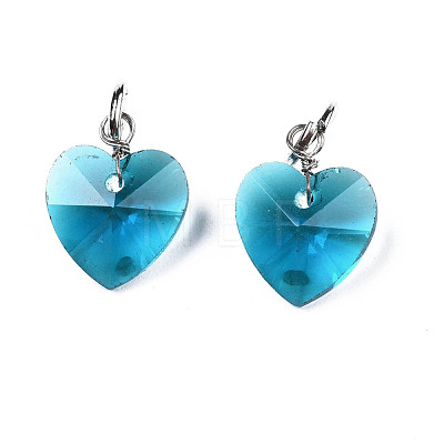 Faceted Transparent Glass Charms GLAA-T024-04D-1