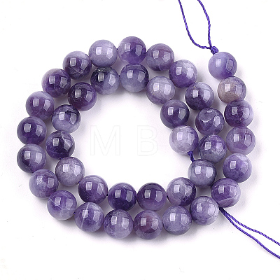 Natural Amethyst Beads Strands G-S333-10mm-020-1