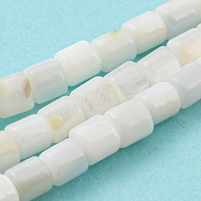Natural Freshwater Shell Beads Strands SHEL-F008-04A-1