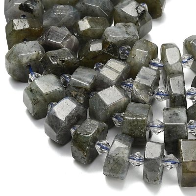 Natural Labradorite Beads Strands G-L642-H05-01-1