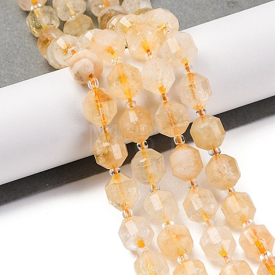 Natural Citrine Beads Strands G-C171-D02-01-1