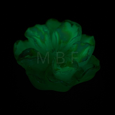 Luminous Resin Cabochons LS-RESI-E033-02D-1
