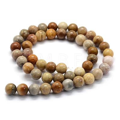 Natural Fossil Coral Beads Strands G-G763-12-8mm-1