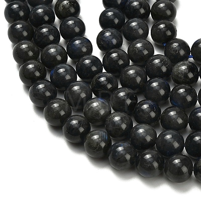 Natural Black Labradorite Beads Strands G-L642-B15-10mm-1