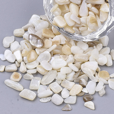Freshwater Shell Beads SHEL-S266-11-1