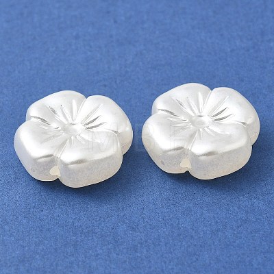 ABS Plastic Imitation Pearl Beads KY-I009-02-1